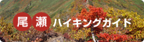 尾瀬ハイキングガイド