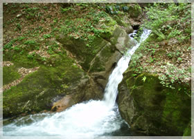 �����k�J