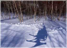 �����q��X�L�[��