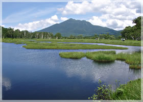 �������������E�S���R�u�����R�v