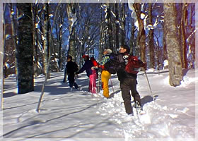 �ᒆ�X�m�[�V���[�n�C�L���O